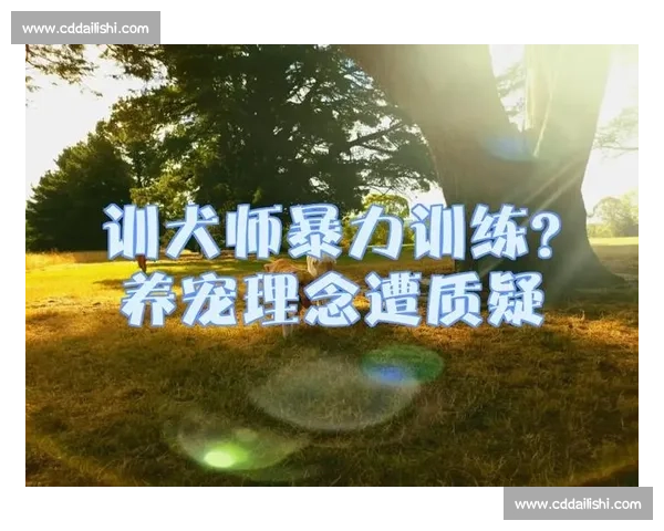 以体能为核心驱动全面发展的现代训练理念与实践探索加与创新方法研究