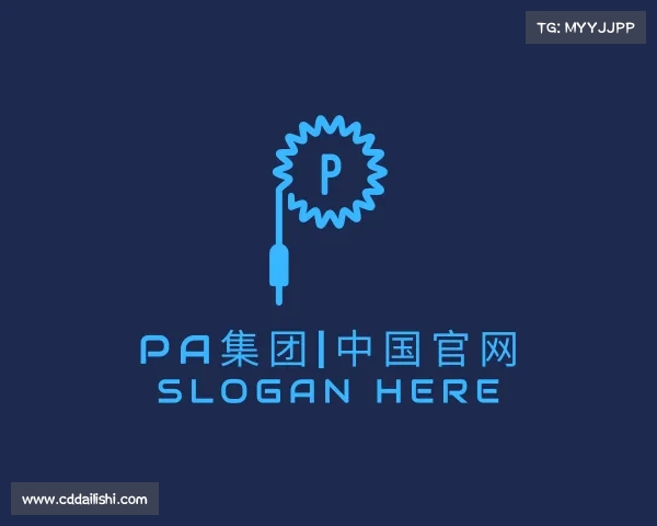 认识PA集团|中国官网